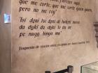 This poem, translated from Otomí to Spanish to English reads: "Little flower, little flower, I bloom here/ Come cut me, come cut me whoever wants/ but I will not go" 