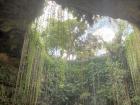The same cenote from the inside