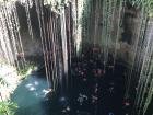 This is what a cenote looks like from above