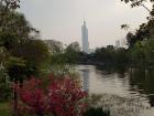 Across the lake is the tallest building in Nanjing