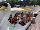 My friends and I prepare to drive a swan boat on one of the biggest lakes in Nanjing, Xuanwu Hu