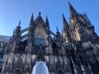 I saw the Cologne Cathedral when I went to Germany to pick up hoverflies