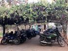 Motorcycles are plentiful in India, and I often see entire four-person families riding on the back of a single bike!