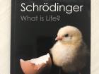 "What is Life?" from my bookshelf