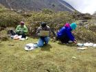 My colleagues are observing hoverflies in the wild