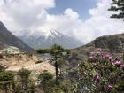 A view of mountains from our highest elevation field site