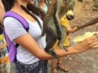 Feeding another Mono monkey