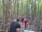 On this trip to Ca Mau, we were looking for snails that live in the mud around the mangroves