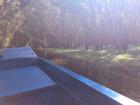 There is something calming about riding a boat through a mangrove forest