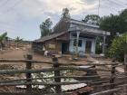 In this region, you can find many houses that are built on higher land next to low crop fields