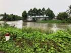 It might not look like it in this picture, but the water here is already getting pretty high