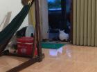 There's the twins' cat relaxing after doing cat things