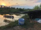 Shrimp ponds like this one can pollute water sources