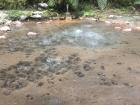 Hot springs in Caldeira Velha