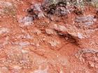 Red clay on the way down to the crater that reminded me of my time in Haiti 