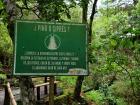 Signs helping identify the trees in the area – this one says, "Pine or Cyprus?"