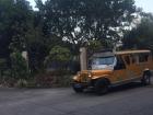 This yellow jeepney is the one that I normally ride