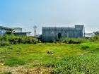 In the city, you can frequently find carabao grazing in these undeveloped lots in between houses