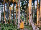 Wandering through the coconut groves of Siargao
