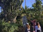 Funky cacti in Ourika