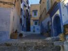 The Chefchaouen medina is famously painted blue