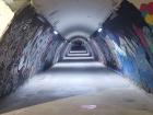 Stumbled upon a graffiti tunnel near my school campus