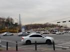 Beautiful cherry blossoms at a park near Lotte World Mall