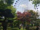 Kids love riding the ferris wheel at this amusement park