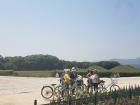 Many elderly people like to bike around the countryside of Korea
