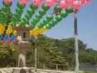 These lanterns are set up across Seoul in cities and temples alike to celebrate Buddha's birthday