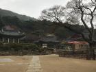 Before anyone gets to the temple to look around, all you can hear is the birds chirping and the rain falling on the peaceful temple