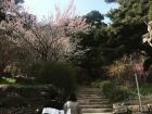 A stone pathway that leads to the highest point on the mountain where a temple resides