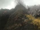 A quick snapshot of a cherry blossom blooming at a slope of a mountain