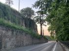 In the heart of Rome, there isn't a lot of wild plant life. However, on the the outskirts (as pictured here), there is quite a bit more. This road leads to one of the schools near the outside of Rome.