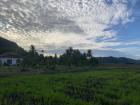 This a typical kampung (village) home on a rice field