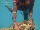 Getting up close and personal with two clownfish