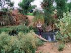 Collecting water samples from a local stream