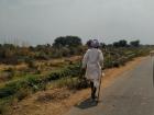 A nomadic herdsman and his sheep