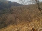 A dry Jaipur in May, just before the rains began