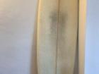 My surfboard