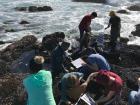 Doing research in the rocky intertidal