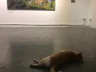 Lounging around a cultural center in Buenos Aires