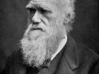 Scientist Charles Darwin (Google Images)