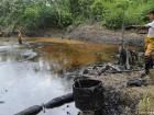 A picture of the contamination done by oil (Google Images)