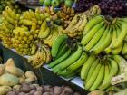 You can see the size difference between the bananas on the left and the plantains on the right