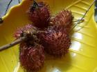 What does Rambutan look like to you?