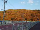 Fall colors in the mountains.