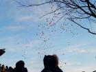 Releasing balloons