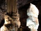 These stalagmites are the most famous ones in Postojna