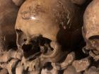 Here is a picture of one of the skulls in the Catacombs.